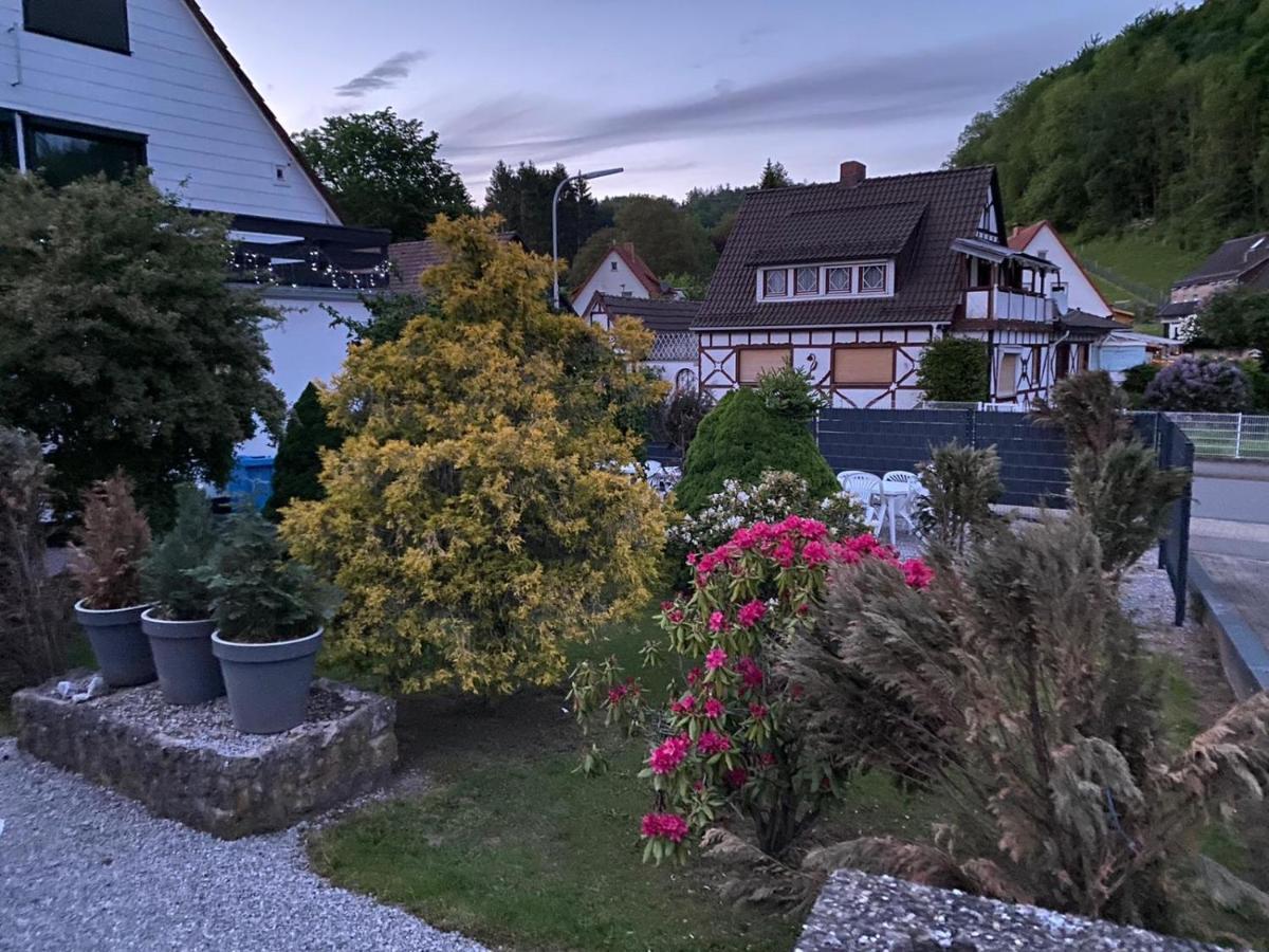 3 Ferienhäuser Harz Bad Sachsa Exterior foto