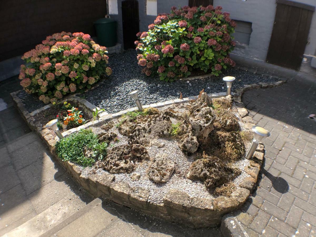 3 Ferienhäuser Harz Bad Sachsa Exterior foto